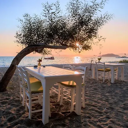 Yonca 3* Φετιγιέ