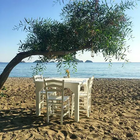 Yonca Ξενοδοχείο Φετιγιέ