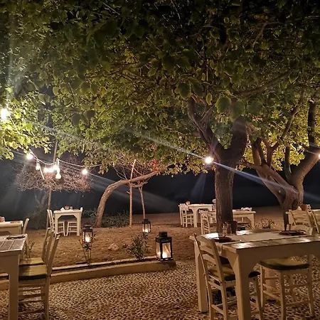 Yonca Φετιγιέ