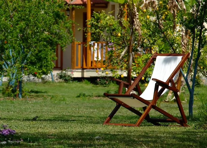 Yonca Hotel 3*