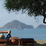 Yonca 3*