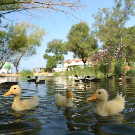 호텔 Yonca 페티예