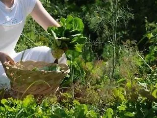 Yonca 3* フェティエ