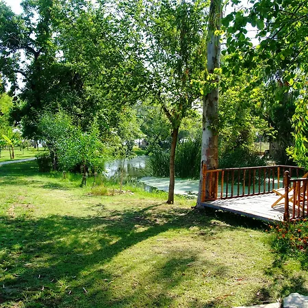 Отель Yonca 3*