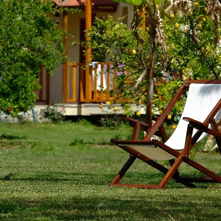 Yonca Hotel 3*