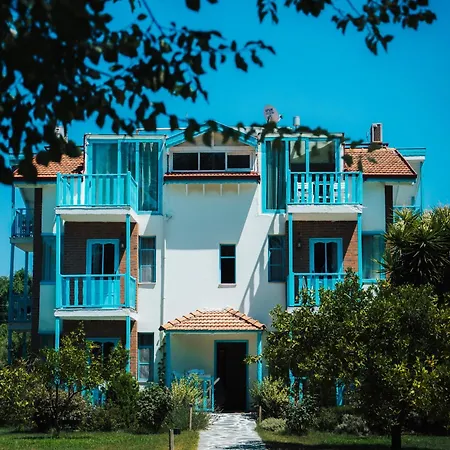Yonca